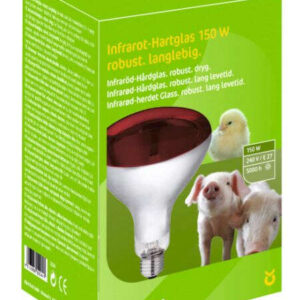 Hartglas-Infrarotlampe