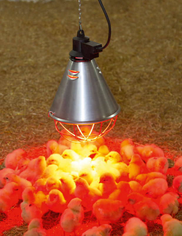 KERBL Infrarot-Wärmestrahlgerät – Bild 3